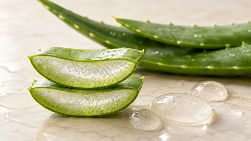 Aloe Vera